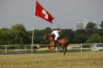 Polo Open