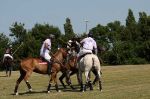 Polo Open