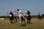 Polo Open