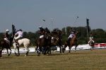 Polo Open